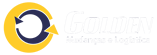 Mudanças e Logística Golden